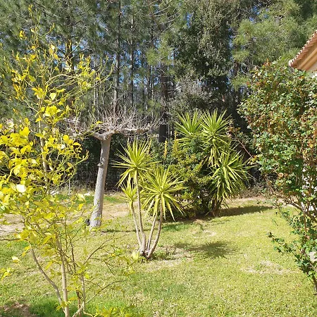 Villa Ribba 10 Pers Piscine 5 Min En Voiture